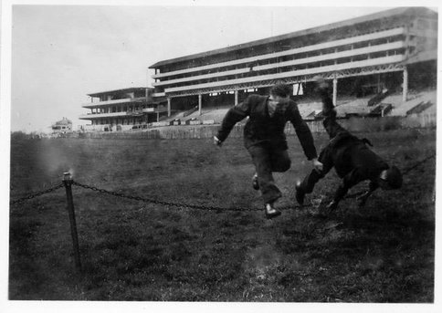 One more photo of Keith Miller and Bill Young taken at Epsom Racecourse, obviously having fun! Thanks to Bob Miller for permission to use this photo